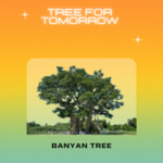 BANYAN TREE